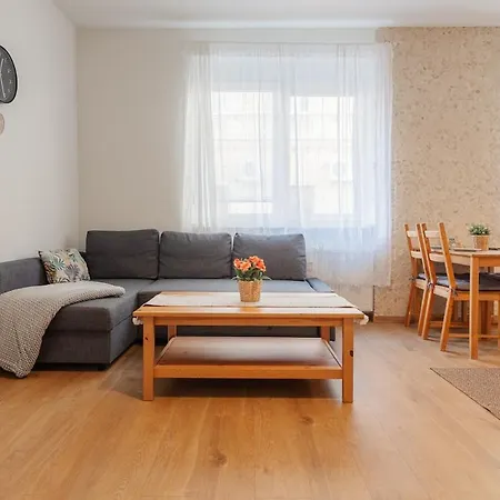 Old Town 1br Near Main Square Apartment *